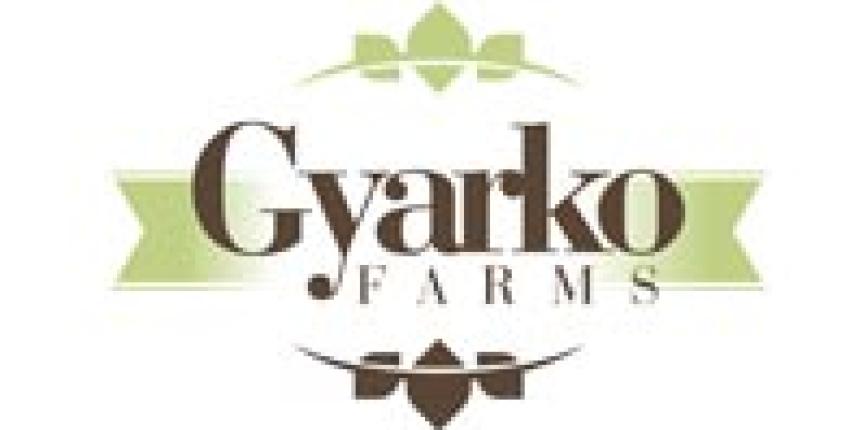 home_page_barlogo2