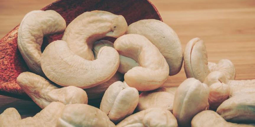 How to Start a Cashew Nut Export Business?