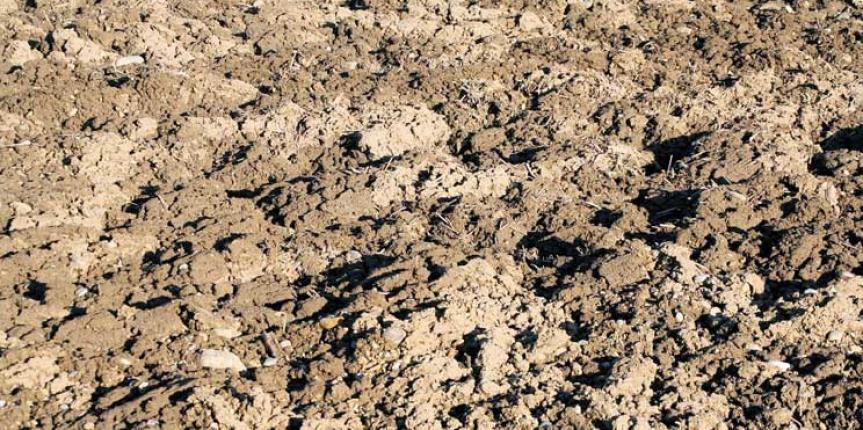 The Most Effective Methods of Removing Topsoil From Your Yard